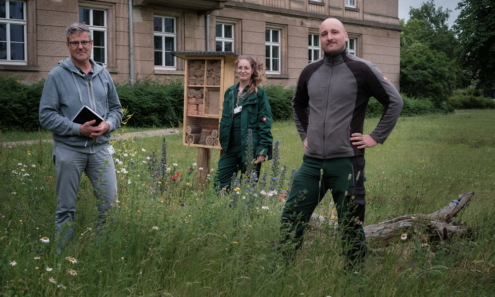 Insektenhotels und kleine Blühwiesen wurden auf dem Campus angelegt.